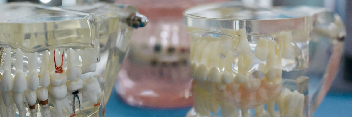 Root Canal Langford